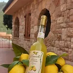 فيلة Villa Verde *
