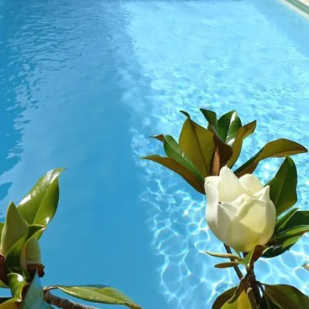 ヴィラ Villa Verde *
