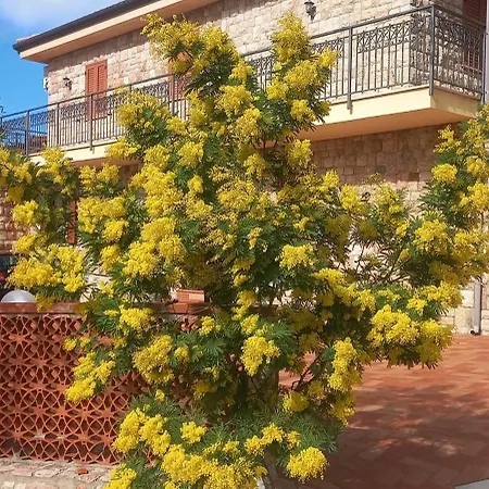 Villa Verde ヴィラ *
