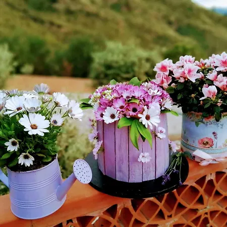 ヴィラ Villa Verde チェファル
